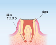 調布市国領町・医療法人社団晃明会 野瀬国際デンタルクリニック